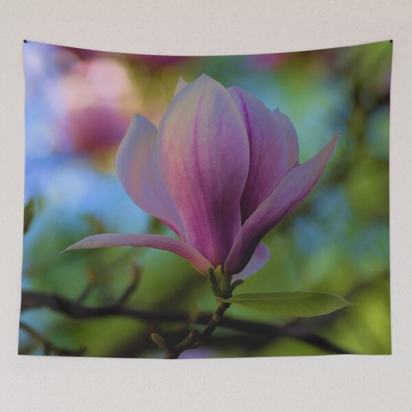 Item preview, Magnolia Flower Photography, Vibrant Floral Photography – Nature’s Bloom in Full Color designed and sold by EmiBarDesign.