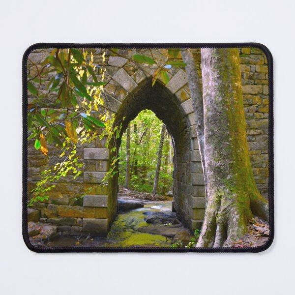 Item preview, Poinsett Bridge Gothic Arch Vertical designed and sold by LisaWootenPhoto.