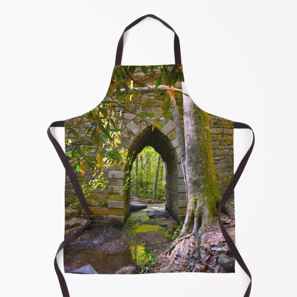 Item preview, Poinsett Bridge Gothic Arch Vertical designed and sold by LisaWootenPhoto.