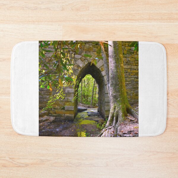 Item preview, Poinsett Bridge Gothic Arch Vertical designed and sold by LisaWootenPhoto.
