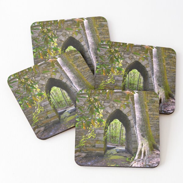Item preview, Poinsett Bridge Gothic Arch designed and sold by LisaWootenPhoto.