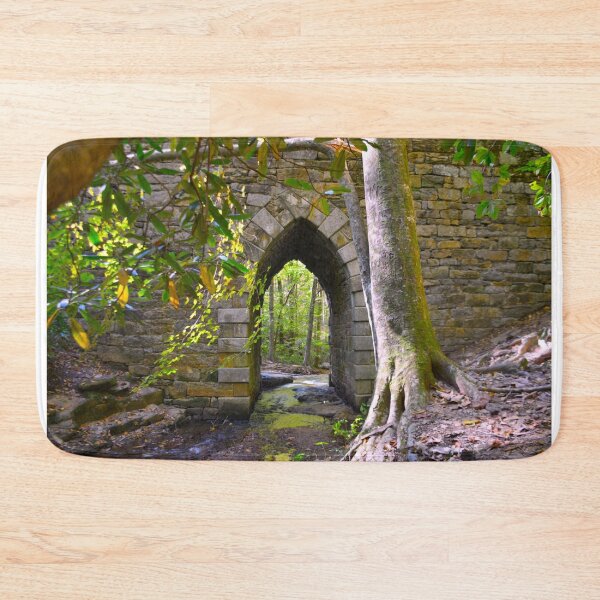 Item preview, Poinsett Bridge Gothic Arch designed and sold by LisaWootenPhoto.