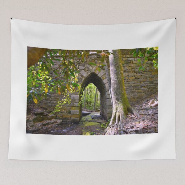 Item preview, Poinsett Bridge Gothic Arch designed and sold by LisaWootenPhoto.