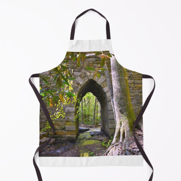 Item preview, Poinsett Bridge Gothic Arch designed and sold by LisaWootenPhoto.