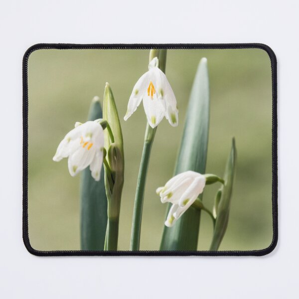 Item preview, Summer Snowflake designed and sold by JEZ22.