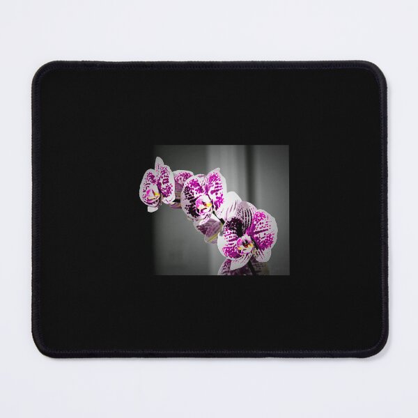 Item preview, Orchids in a Hurry designed and sold by JCoPhotography.