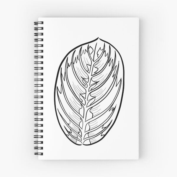 Item preview, Prayer Plant Maranta designed and sold by Ekorn17.