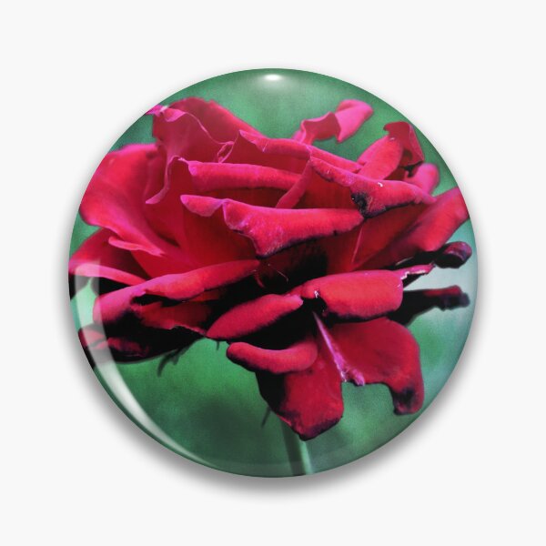Item preview, Withered Beauty (Rose) designed and sold by JulieMaxwell.