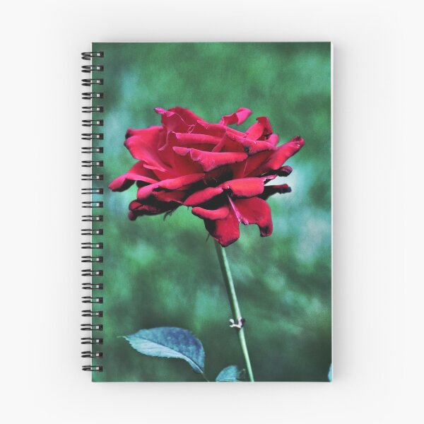 Item preview, Withered Beauty (Rose) designed and sold by JulieMaxwell.