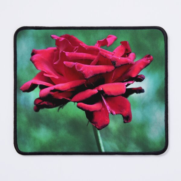 Item preview, Withered Beauty (Rose) designed and sold by JulieMaxwell.