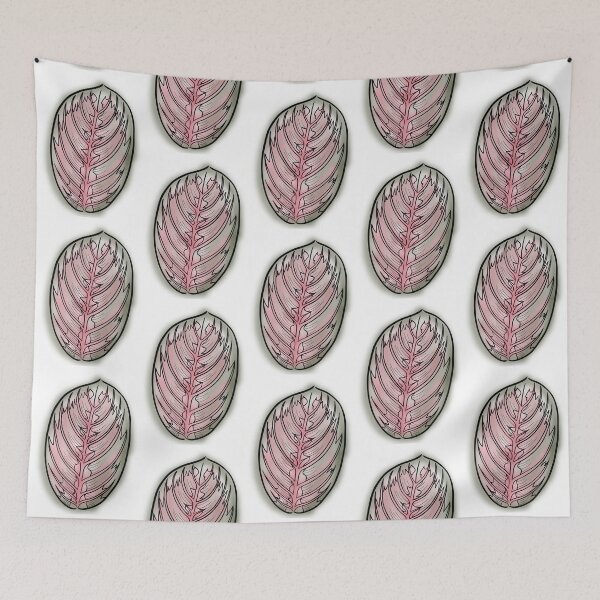 Item preview, Prayer Plant Maranta designed and sold by Ekorn17.