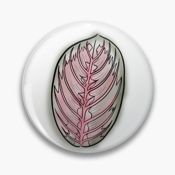 Item preview, Prayer Plant Maranta designed and sold by Ekorn17.