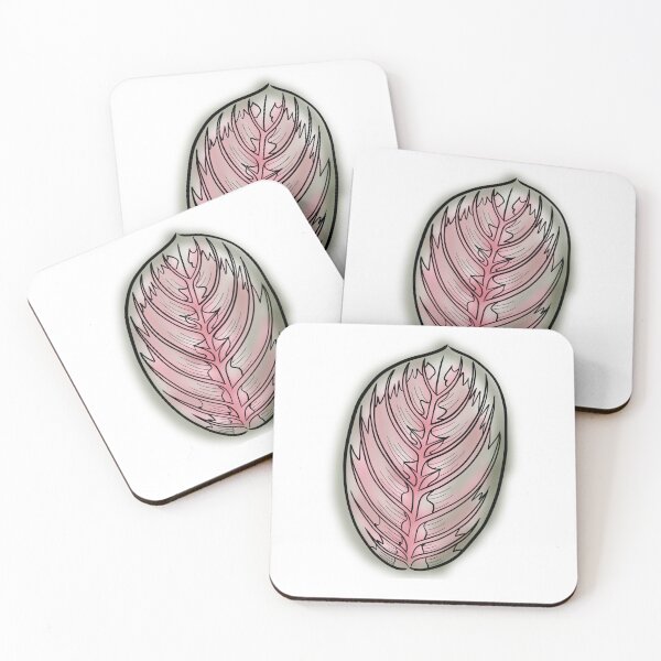 Item preview, Prayer Plant Maranta designed and sold by Ekorn17.