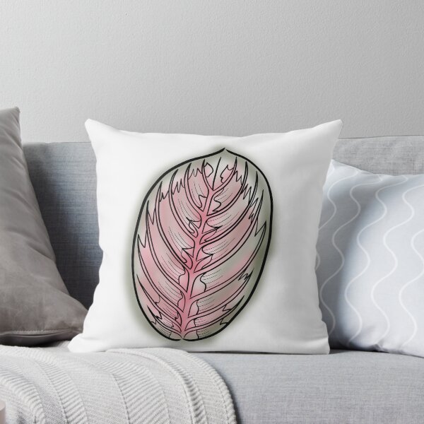 Item preview, Prayer Plant Maranta designed and sold by Ekorn17.