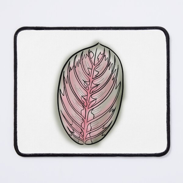 Item preview, Prayer Plant Maranta designed and sold by Ekorn17.