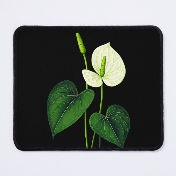 Item preview, White Anthurium Laceleaf Flower. Vintage Botanical Illustration, Natural history, Exotic Tropical Plant, Surreal Floral Art designed and sold by Cybermariko.
