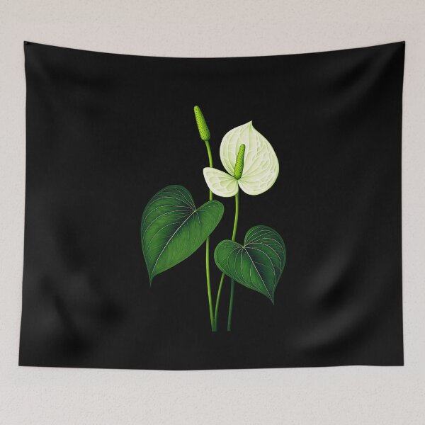 Item preview, White Anthurium Laceleaf Flower. Vintage Botanical Illustration, Natural history, Exotic Tropical Plant, Surreal Floral Art designed and sold by MarikoDesignArt.