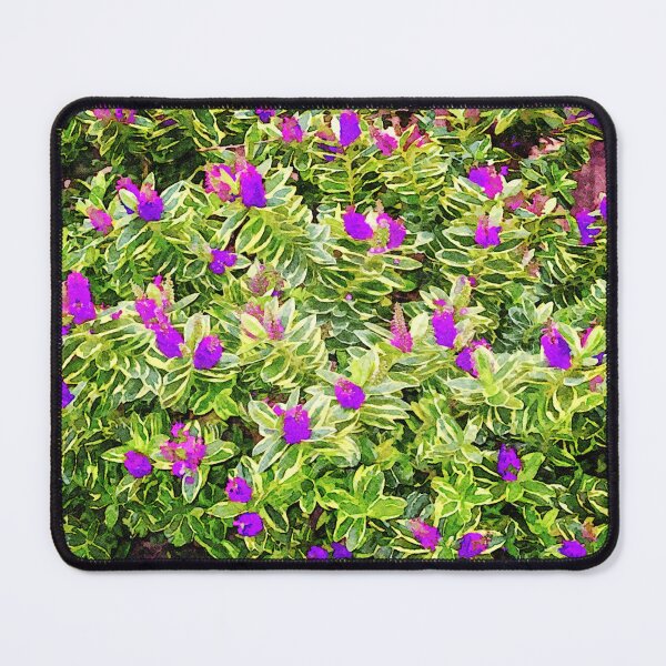 Item preview, Colorful watercolor painting of purple hebe flowers with green foliage designed and sold by GestaltImagery.