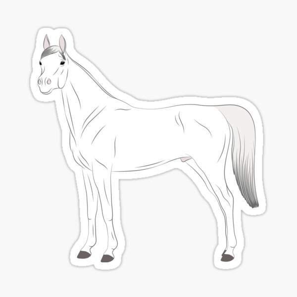 Aperçu de l'œuvre Cheval Abbayan, dessin cheval blanc, cheval oriental, races de chevaux du Yémen créée et vendue par WebEquitation®.