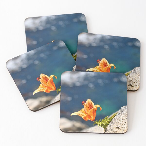 Item preview, Beauty by the Waters designed and sold by JulieMaxwell.