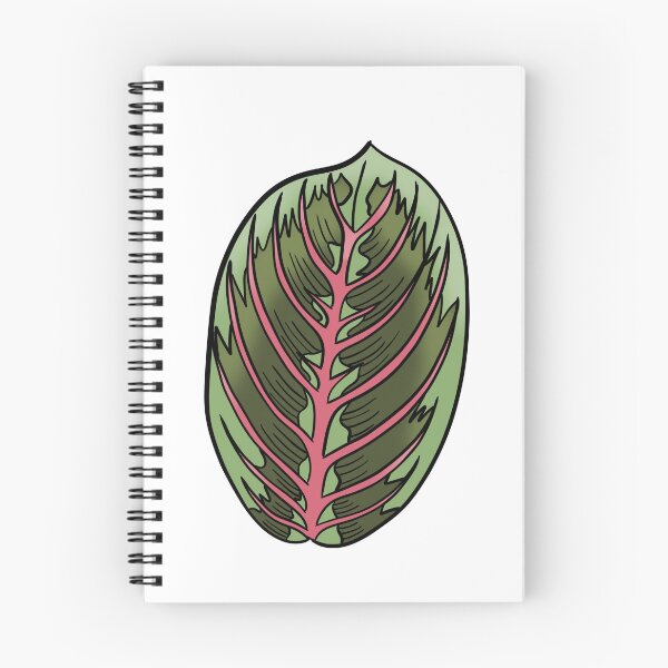 Item preview, Prayer Plant Maranta designed and sold by Ekorn17.