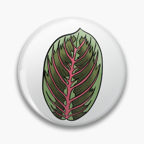 Item preview, Prayer Plant Maranta designed and sold by Ekorn17.