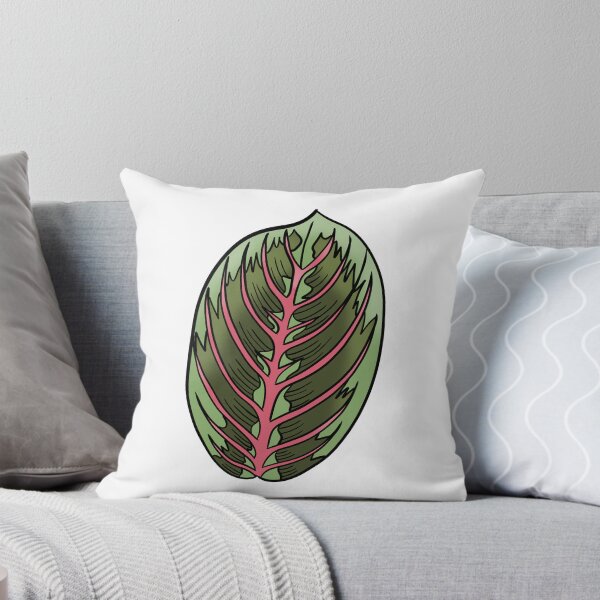 Item preview, Prayer Plant Maranta designed and sold by Ekorn17.