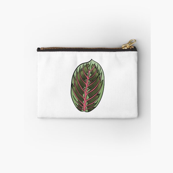 Item preview, Prayer Plant Maranta designed and sold by Ekorn17.
