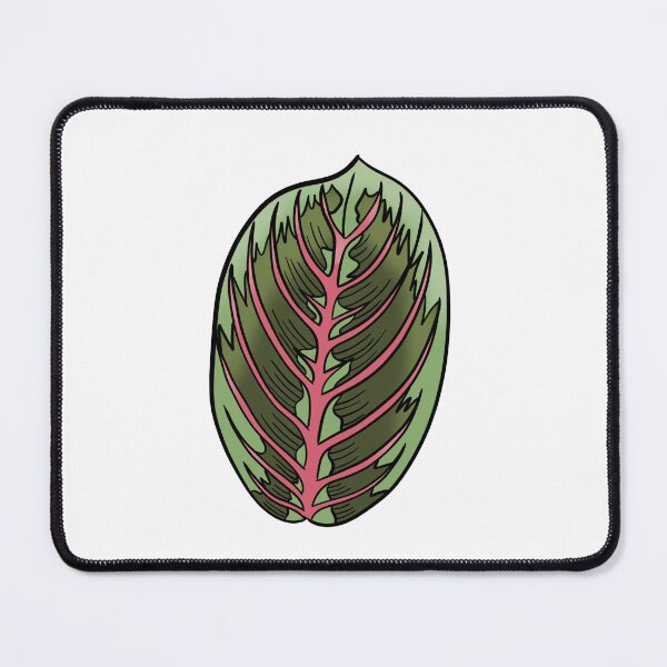 Item preview, Prayer Plant Maranta designed and sold by Ekorn17.