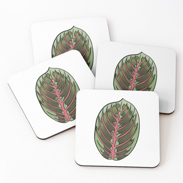Item preview, Prayer Plant Maranta designed and sold by Ekorn17.