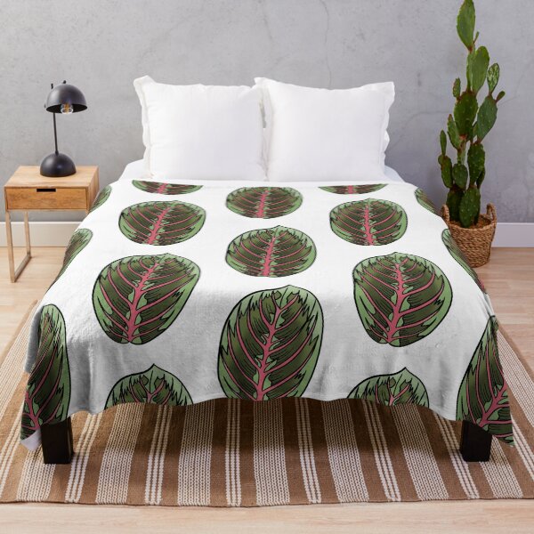 Item preview, Prayer Plant Maranta designed and sold by Ekorn17.