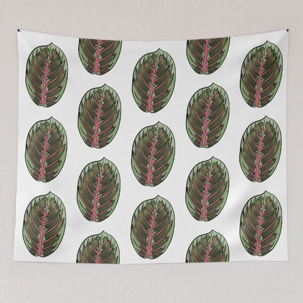 Item preview, Prayer Plant Maranta designed and sold by Ekorn17.