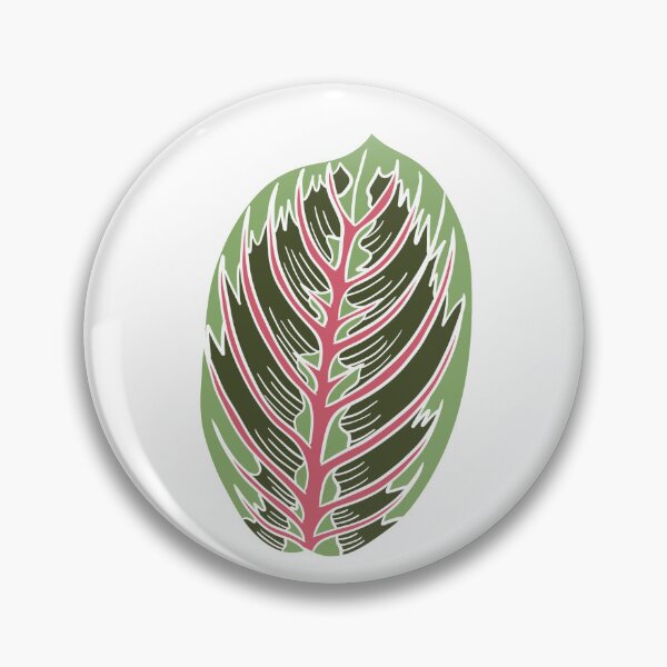 Item preview, Prayer Plant Maranta designed and sold by Ekorn17.