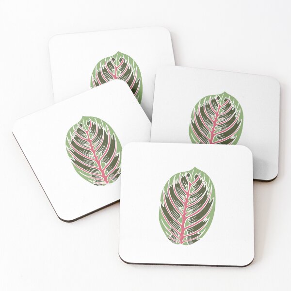 Item preview, Prayer Plant Maranta designed and sold by Ekorn17.