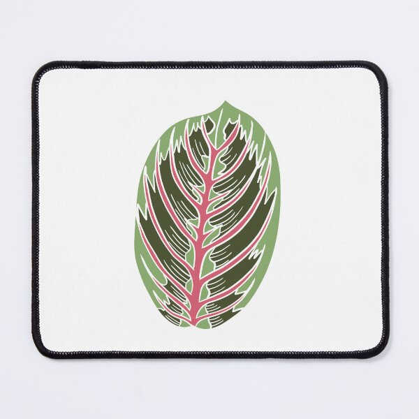 Item preview, Prayer Plant Maranta designed and sold by Ekorn17.