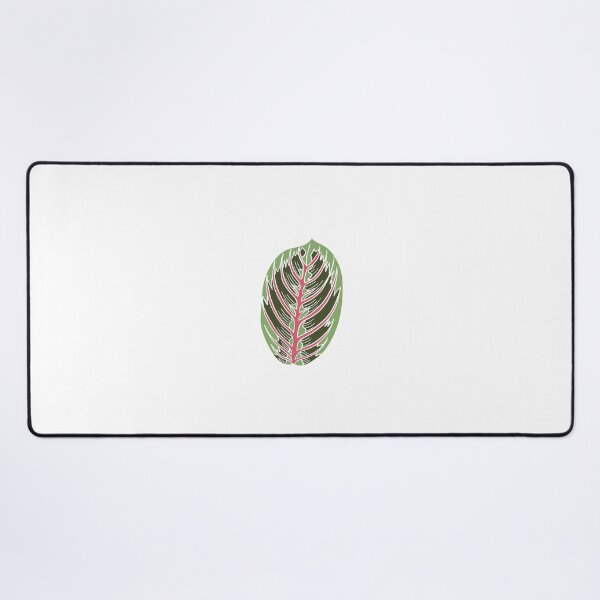 Item preview, Prayer Plant Maranta designed and sold by Ekorn17.