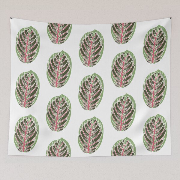 Item preview, Prayer Plant Maranta designed and sold by Ekorn17.