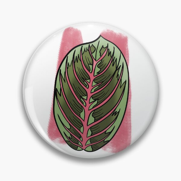 Item preview, Prayer Plant Maranta designed and sold by Ekorn17.