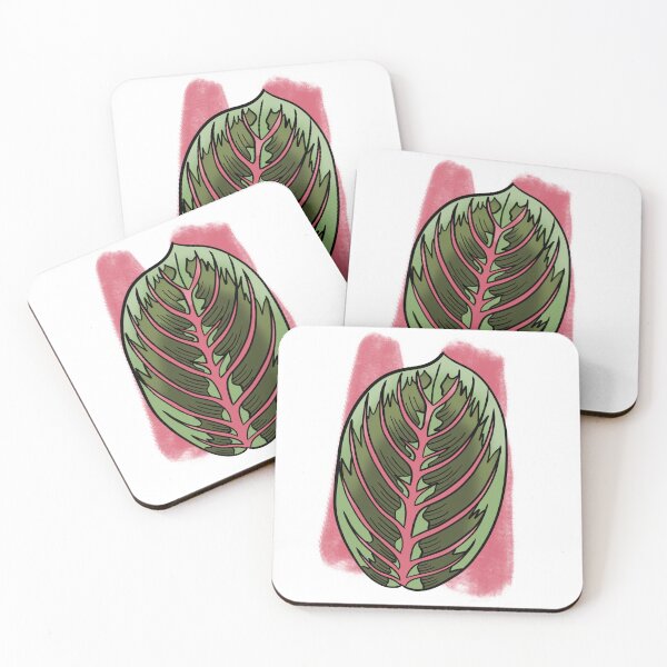 Item preview, Prayer Plant Maranta designed and sold by Ekorn17.