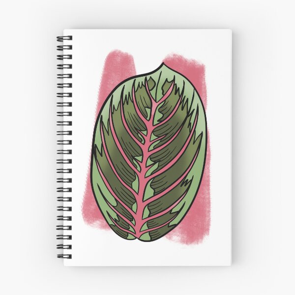 Item preview, Prayer Plant Maranta designed and sold by Ekorn17.