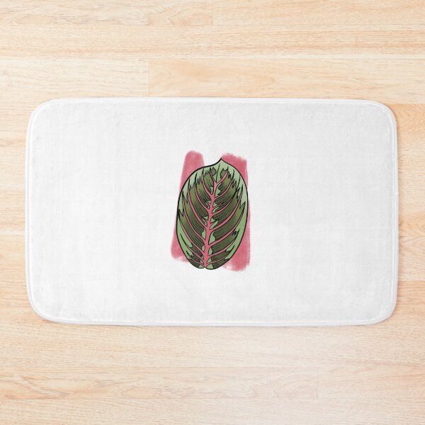 Item preview, Prayer Plant Maranta designed and sold by Ekorn17.