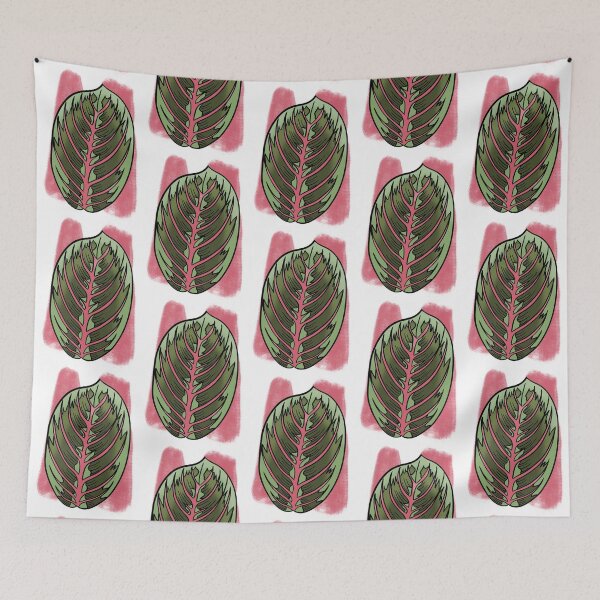 Item preview, Prayer Plant Maranta designed and sold by Ekorn17.