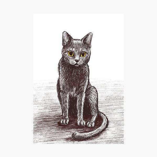 Item preview, Gray Cat sitting designed and sold by damskizzen.