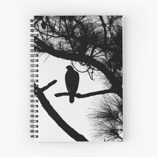 Item preview, Black and white hawk silhouette  designed and sold by Jmb67.