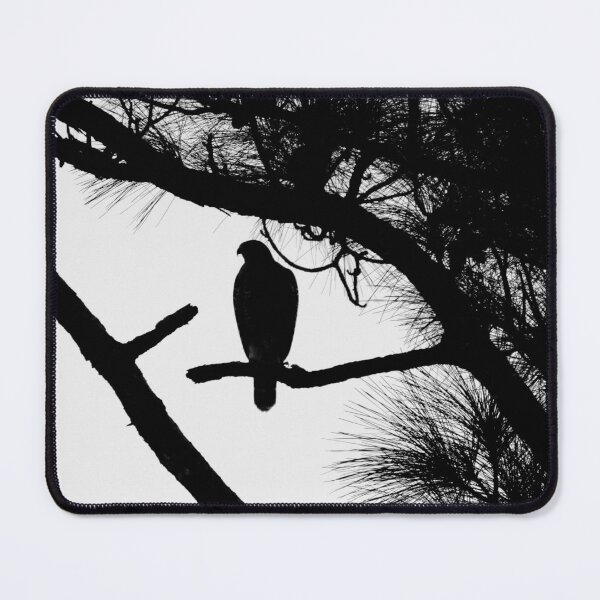 Item preview, Black and white hawk silhouette  designed and sold by Jmb67.