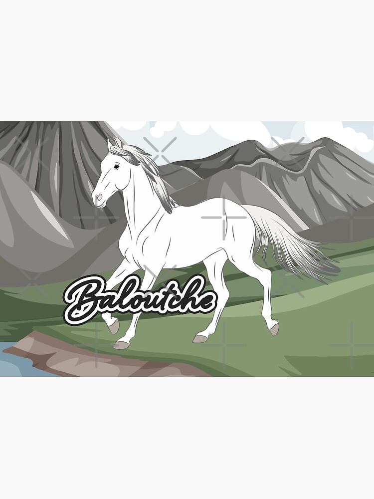 Aperçu 2 sur 2. Puzzle avec l'œuvre Cheval Baloutche, cheval blanc sur un fond de paysage, cheval de selle, races de chevaux du Pakistan créée et vendue par WebEquitation.