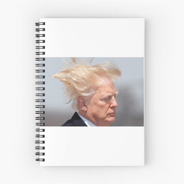 Item preview, Air Trump designed and sold by Drubingle46.