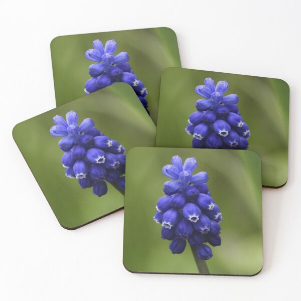 Item preview, Sapphire Flower - Common Grape Hyacinth - Vibrant Floral Photography – Nature’s Bloom in Full Color designed and sold by EmiBarDesign.