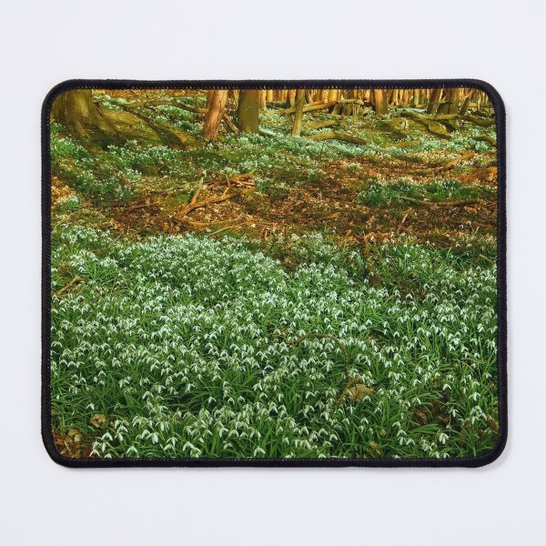 Item preview, Northamptonshire Woodland Snowdrops Spring designed and sold by Martyn R Arnold Fine Art Nature & Landscape Photography.