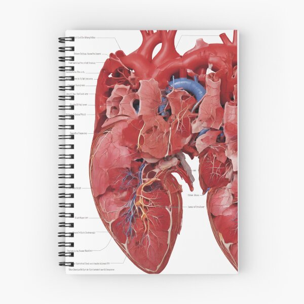 Item preview, Anatomy of the Heart designed and sold by Sadia  Jannat.